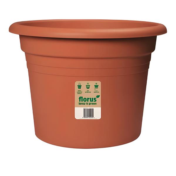 Terracota.