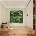 Jardin vertical Belice 50X50 cm.