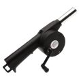 Accesorios barbacoa, pistola aire